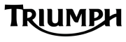 Ремонт, обслуживание, ТО на мотоциклы triumf